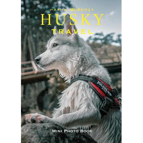 HUSKY TRAVEL: ハスキーと一緒に出かけよう | Husky Teo Family |本